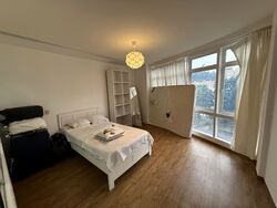 Parc Palais (D21), Condominium #573531191
